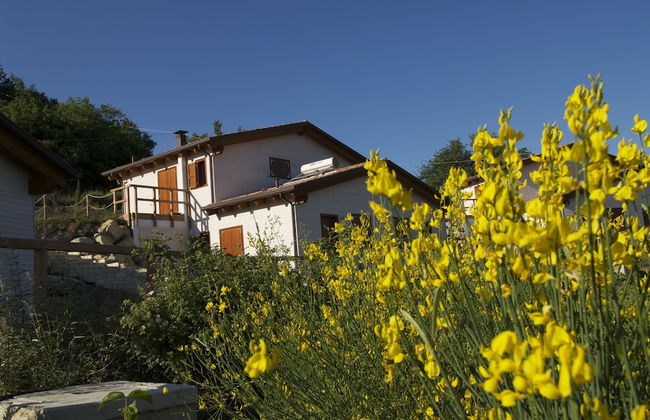 La Valle Dei Caprioli - B&B - Foto 55