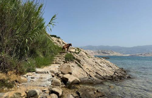 Mila's pet friendly holiday house with private beach place and sunbeds included - Photo 52