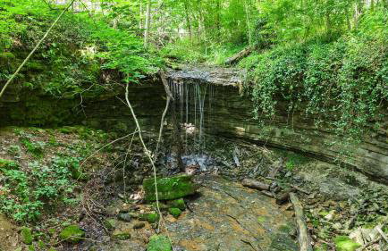 Pole Barn - Rustic 1BR Family Retreat with Open Views - Foto 58