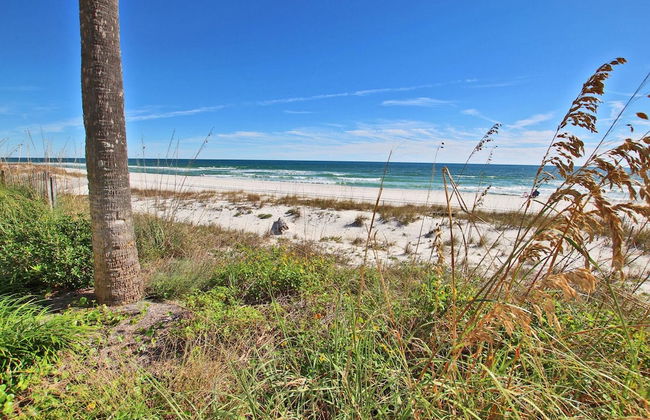 Tradewinds 807 - Foto 35