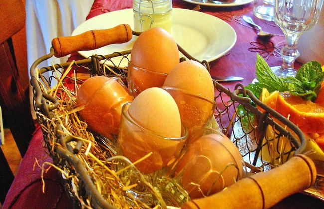 Flat in Alsace Near Vosges Nature Park - Foto 10