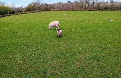 Elidir Cottage - Foto 13