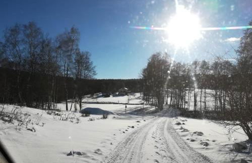 Fahrenbach-Alm - Foto 28