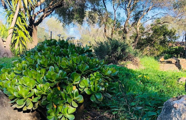 Fantastico San Teodoro Fraili LUC01 - Foto 21