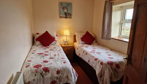 Ddol Cottage Traditional Coastal cottage nr Llangrannog & New Quay with Donkeys - Foto 4