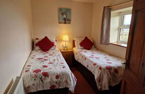 Ddol Cottage Traditional Coastal cottage nr Llangrannog & New Quay with Donkeys - Photo 4