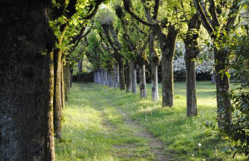 Eco-gîte - Domaine de La Gavolerie - Photo 16