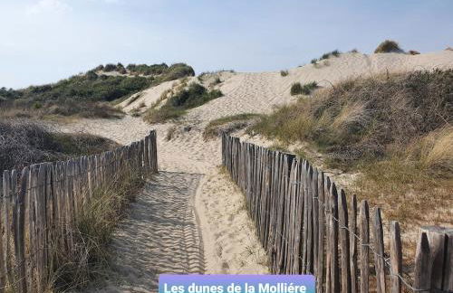 Gite Baie de Somme - Foto 18