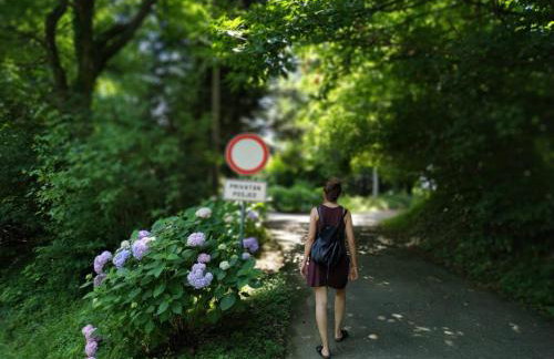 Old Chestnut Vacation Home - Foto 7