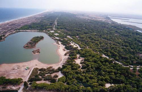 Fantastic beach apartment near Valencia - Foto 16