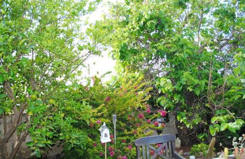 Cosy House in La Sabinita with Mountain View - Foto 23