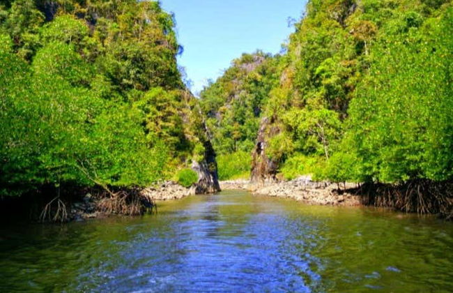 Paseo en barco con avistamiento de aves - Foto 7