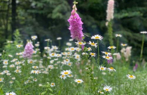 Unique and Private 25ft Waterfall House in Hunter - Foto 64