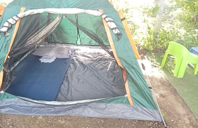 Backpackers Temple - Foto 4