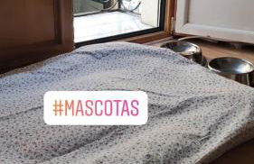 Los Balcones de Laurel - Foto 11