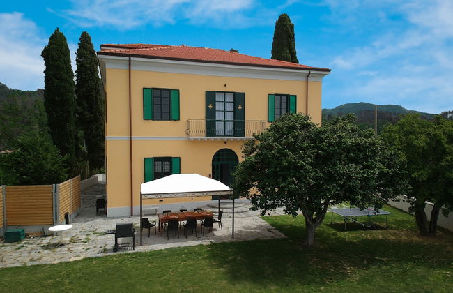 The Gargoyles - Foto 40