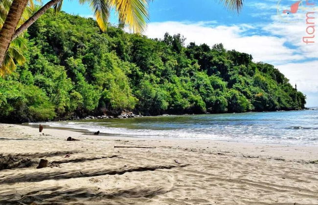 ClarenceVille Villa Apartments - Foto 32