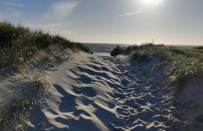 5 Person Holiday Home in Thyboron - Foto 18