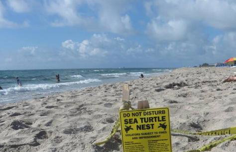 Spacious villa, pool, water views, walk to beach - Foto 13