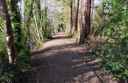 Riverwood Retreat - Self Contained Lux Apartment, Close to the Celtic Resort - Foto 17