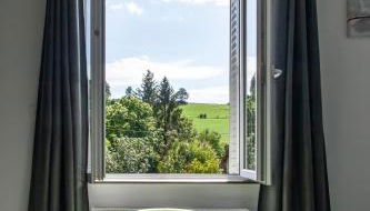 LA BATISSE l'arbre gris - Foto 3