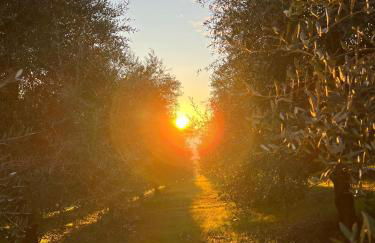 Agriboutique L'Uliveto Magico - Foto 17