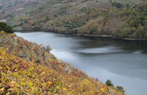 Casa Solveira - Foto 50