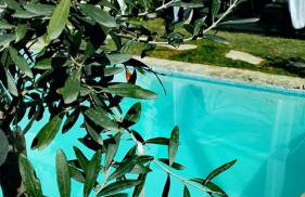 Athanasia's appartment at Rafaella Resort - Foto 27