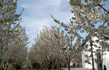 Domki w Winnicy - Świętokrzyska Winnica Knapów - Foto 27