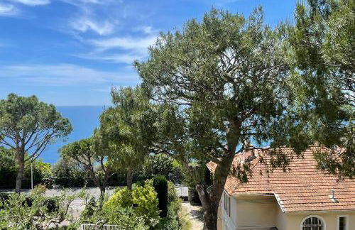 06DB Magnificent flat with incredible view Mont Boron - Foto 17