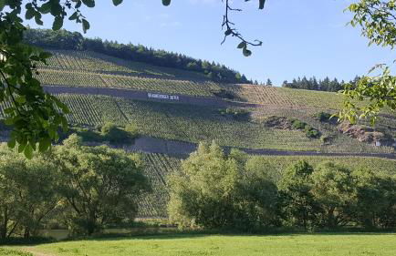 Ferienwohnung Altes Pfarrhaus mit Flair und Jufferblick - Foto 14