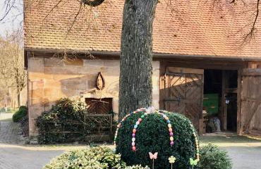 Landhaus am Schloss - Foto 35