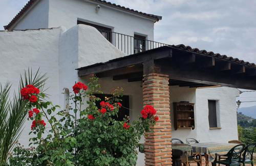 Casa del rio - Foto 15