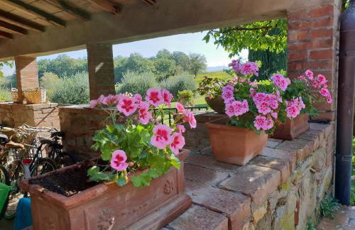 Agriturismo Il Sole Verde - Foto 16