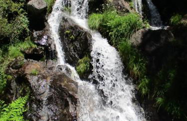 Casa de Guadalupe - Foto 25