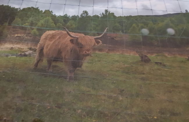 River View Cottage in Perthshire - Foto 8