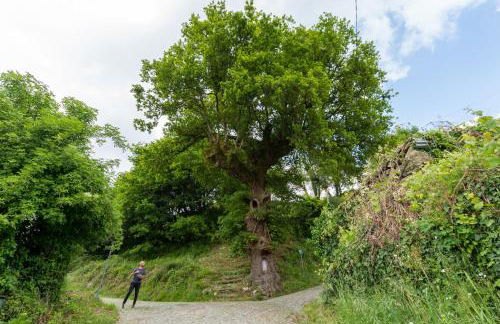 Azenha da Lavoura em Barrega - Foto 30