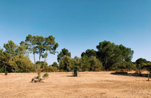 Finca Son Amal - Foto 39