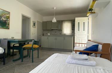 Andros Vineyard house with sea view - Foto 31