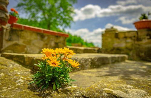 Casa Al Bosco - Foto 26