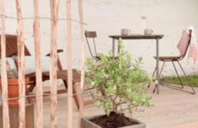 Gîte Au numéro 13 à 50m de la mer - Foto 11