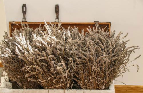 Agriturismo Treterre - Foto 21