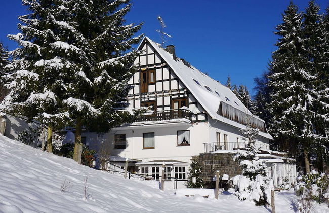 Exclusive Group House in Winterberg in the Forest - Photo 43