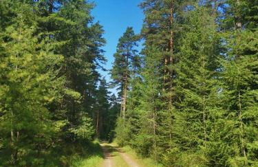 Ferienwohnung Paulinzella 9 inklusive Parkplatz und WLAN - Foto 15