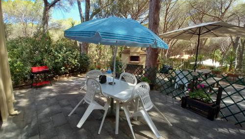 Pinna1 - Appartamento in villetta in pineta - IUN R4823 - Foto 1, Garden, Garden view