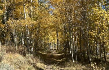 Watch Hill 216 - Foto 11