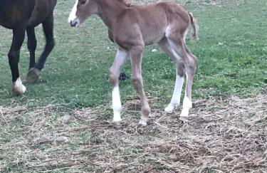 Gîtes Belle Vue - Photo 40