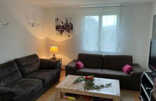 Le coteau - Photo 13