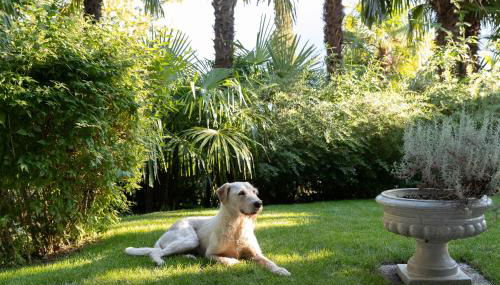 Villa Hochland - Foto 5