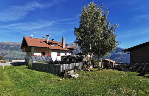 Bio-Bauernhof Mairinghof-Paris - Foto 32